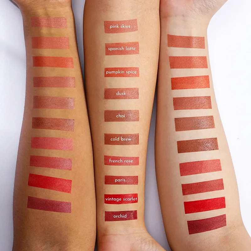 Absidy Cashmere Kiss Matte Lipstick in Pink Skies