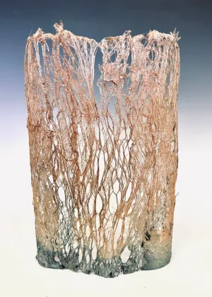 Anne Marble: Spider Vessel