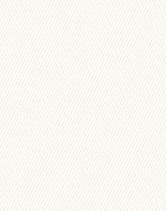 a|s cardstock - spring fling collection