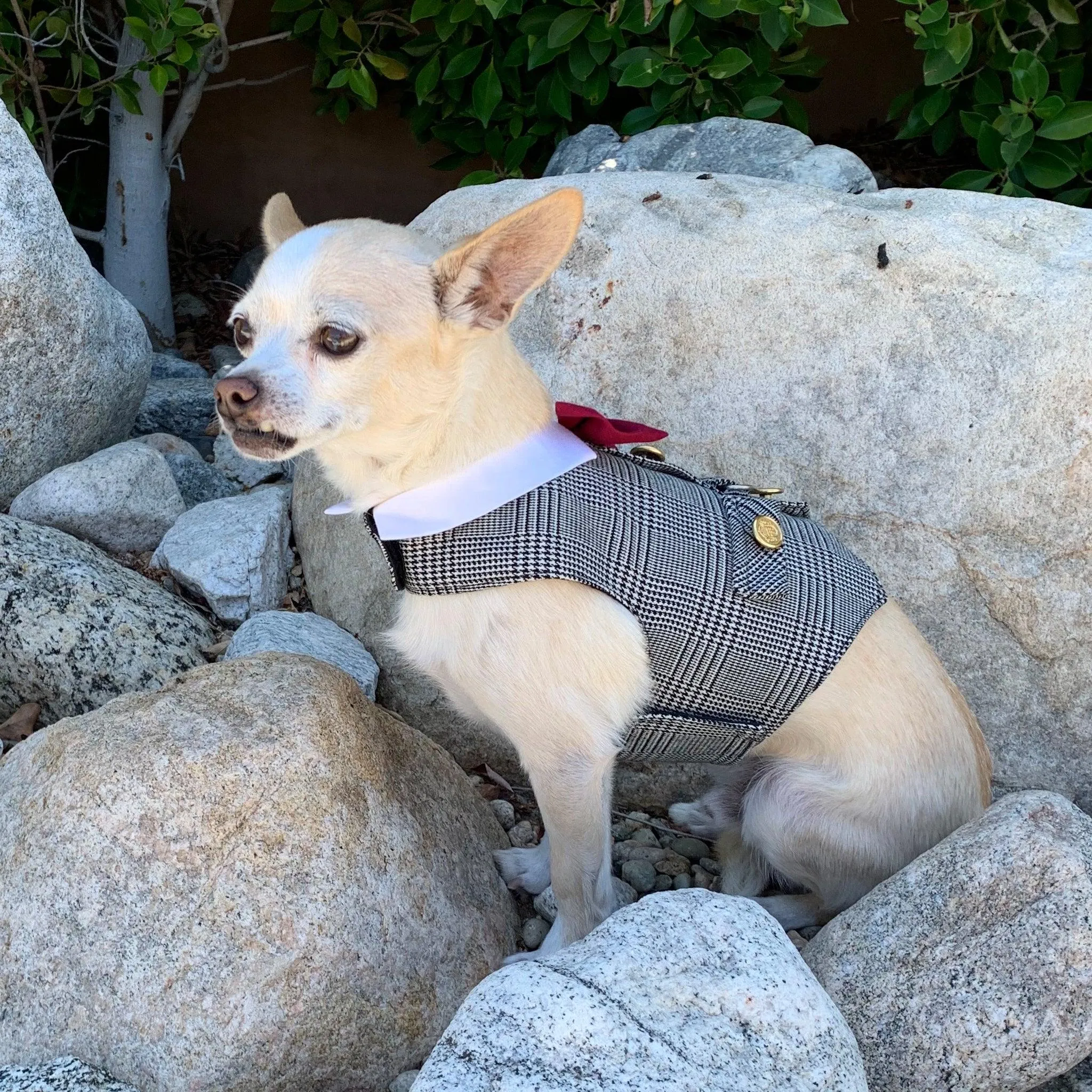 Black & White Glen Plaid Dog Vest With Built In Harness