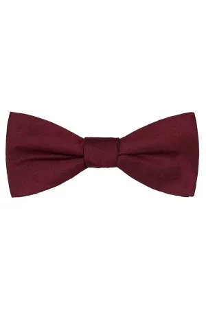 Burgundy Solid Satin Silk Bow Tie