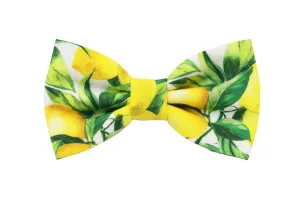 Capsule Collection Lemons Pattern Bow Tie