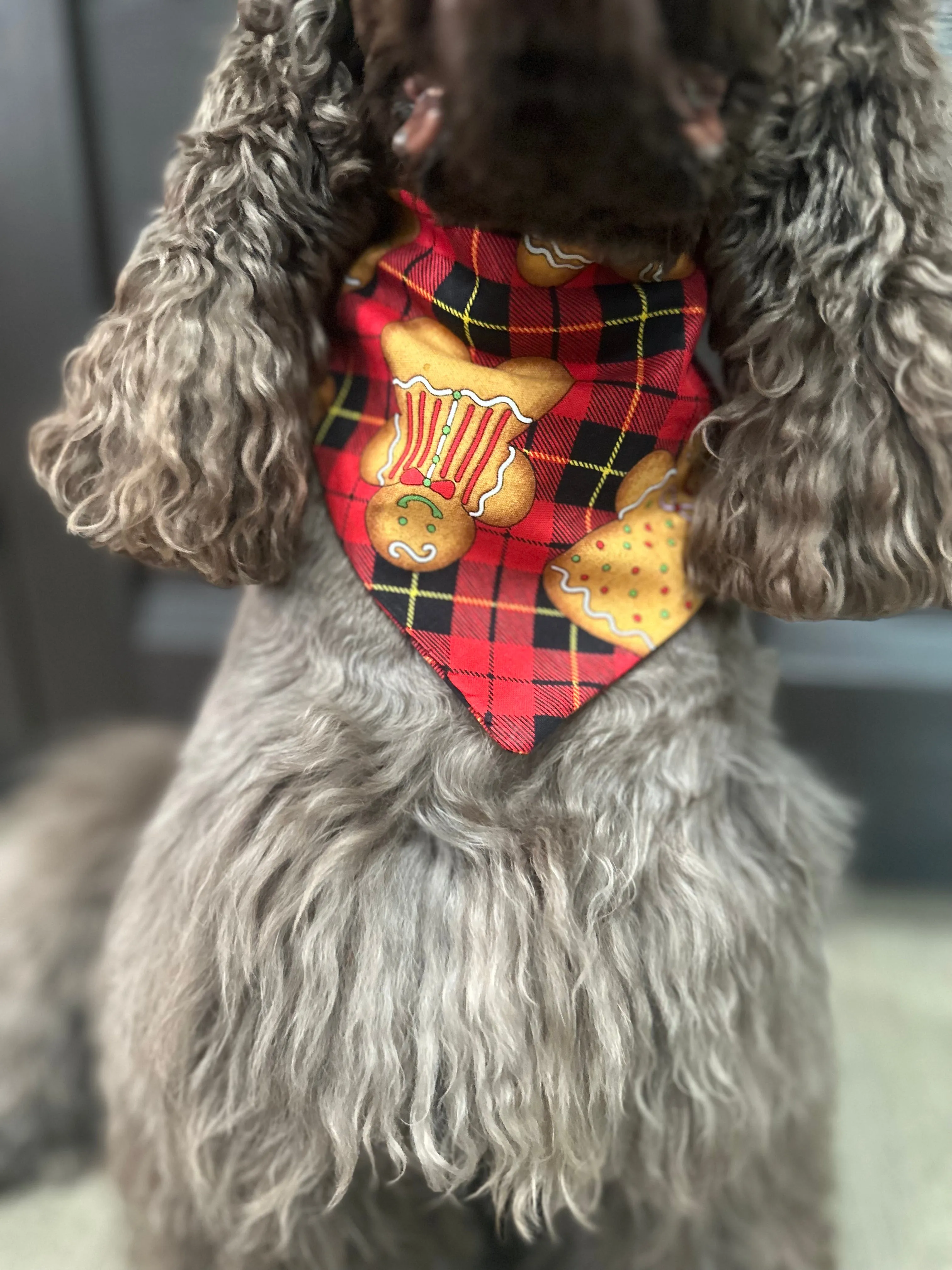 Christmas plaid gingerbread Scrunchie Dog Bandana