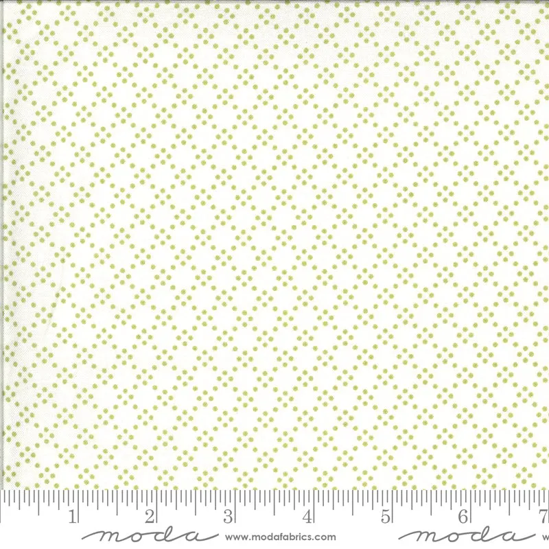 Dover Tonal Dot Willow