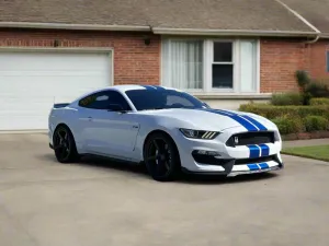 Ford Shelby GT350 2015 - 2025 Outdoor Indoor Collector-Fit Car Cover