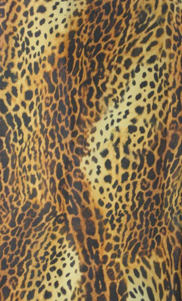 Funky Hair Stylist Salon Dog  Groomers Apron In Cheetah And Black