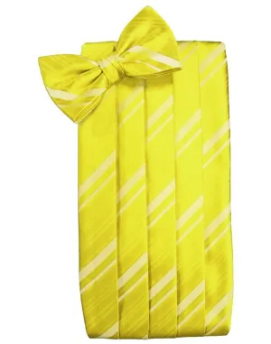 Lemon Striped Satin Cummerbund