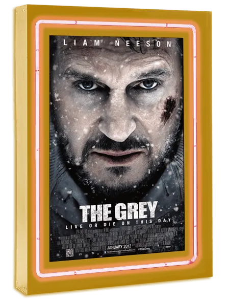 Neon Series Movie Poster Case