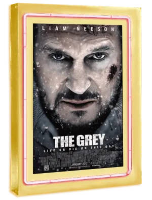 Neon Series Movie Poster Case