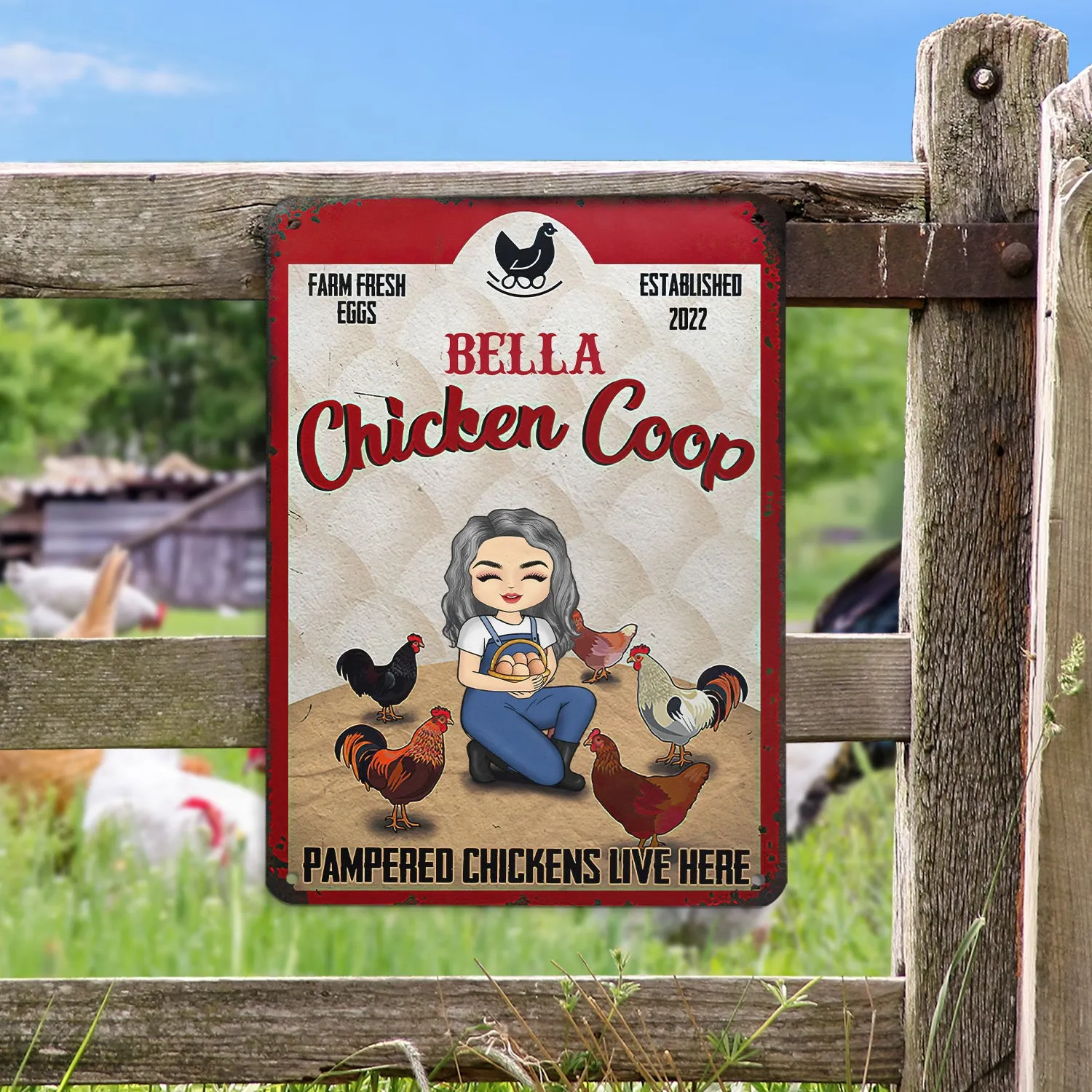 Pampered Chickens Live Here - Chicken Coop Decoration - Personalized Custom Classic Metal Signs