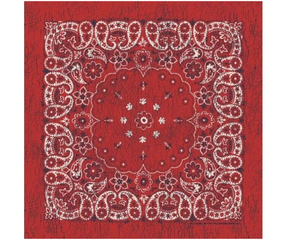 Rustic Paisley Bandanas
