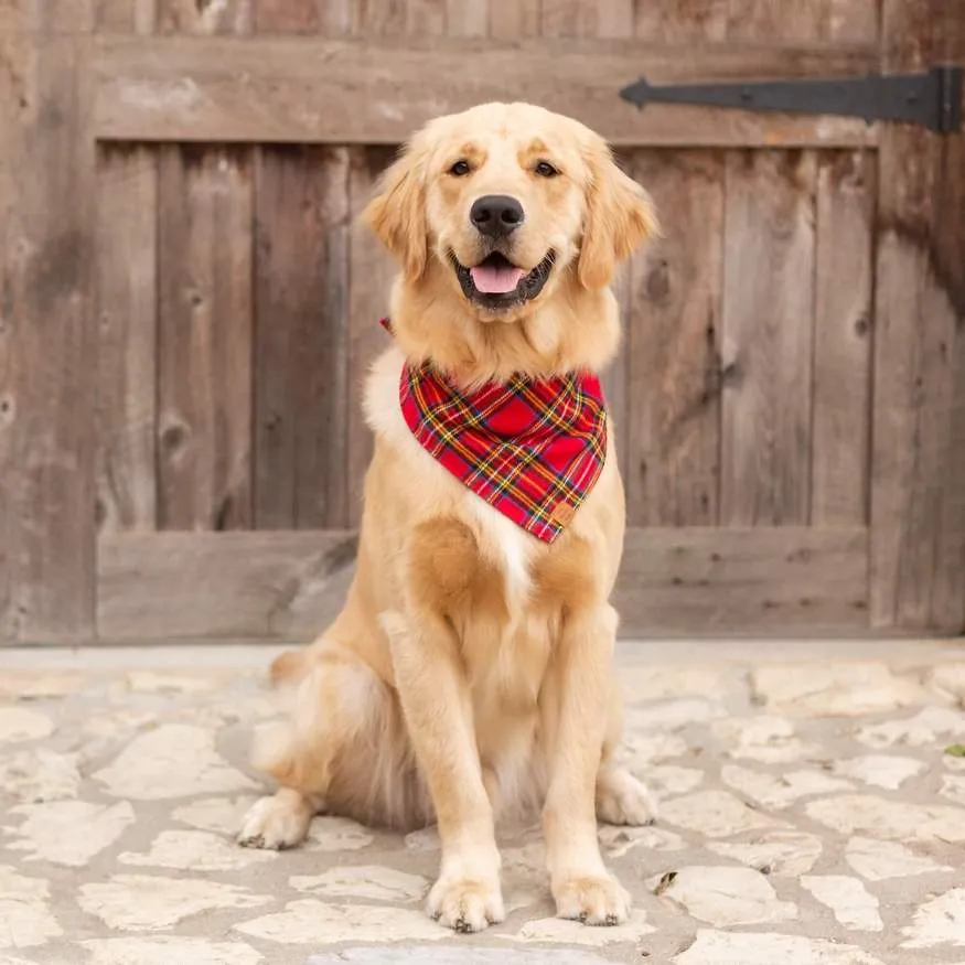 Tartan Plaid Flannel Dog Bandana