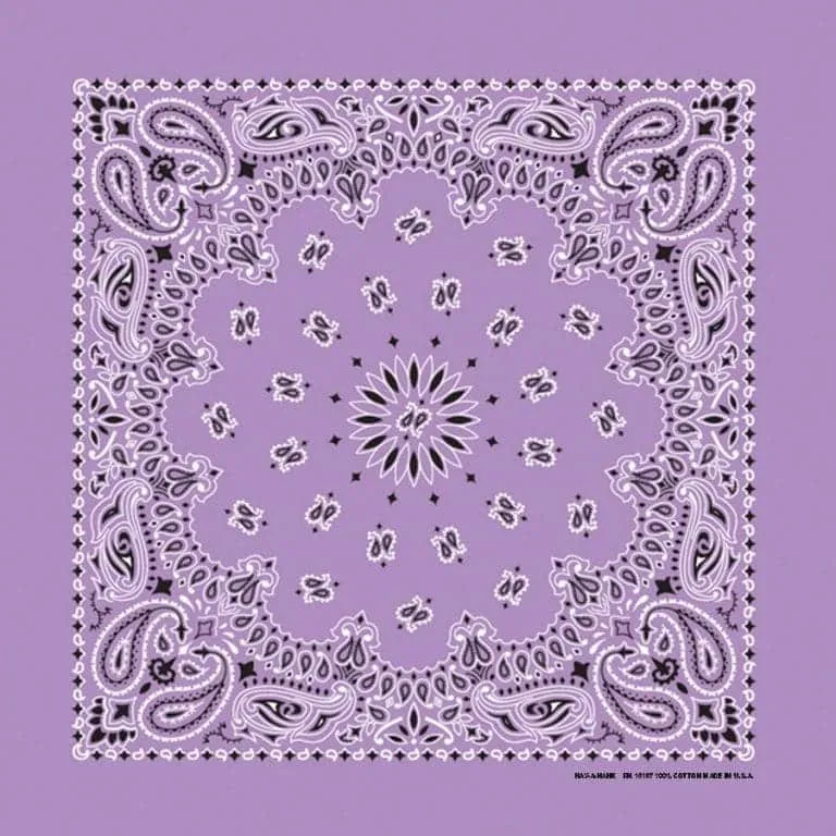 Traditional Paisley Bandanas in 24 Colors