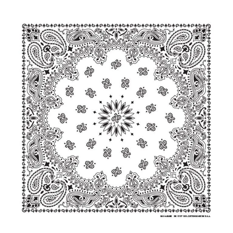 Traditional Paisley Bandanas in 24 Colors