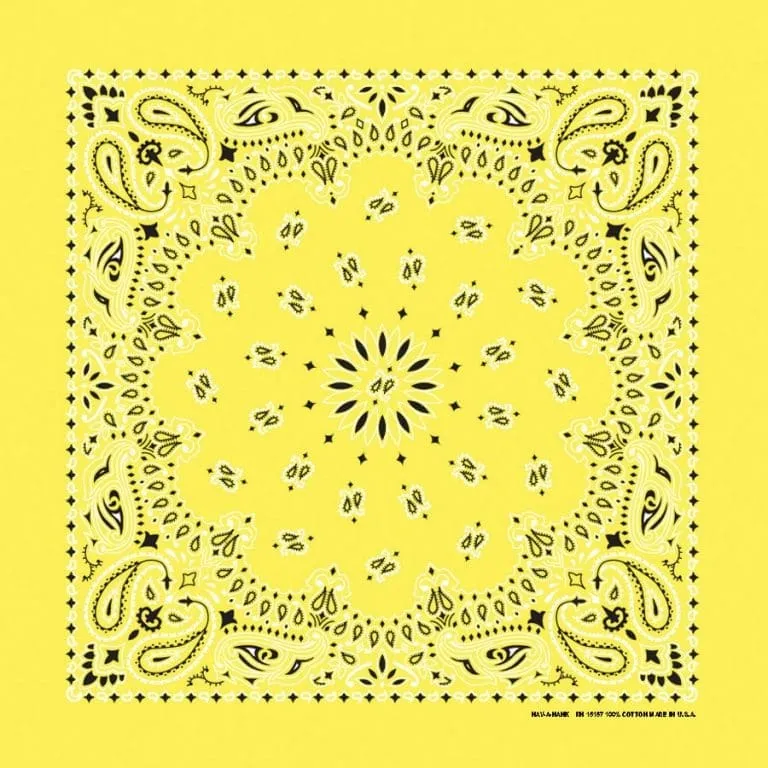 Traditional Paisley Bandanas in 24 Colors