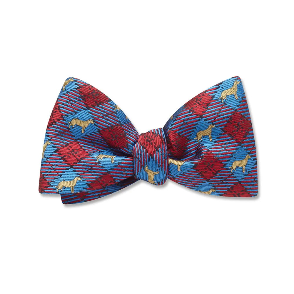 Tweedmouth - Kids' Bow Ties